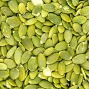 Premium Quality Pumpkin Seeds