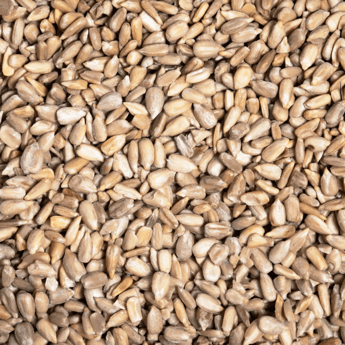 Sunflower-Seeds-by-Chandra-Foods-1
