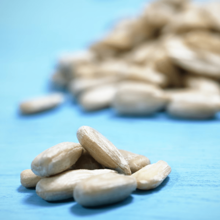 Sunflower-Seeds-by-Chandra-Foods-2