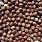 hazelnuts-buy-in-uk-chandra-foods-png
