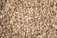 nuts online uk sunflower seeds